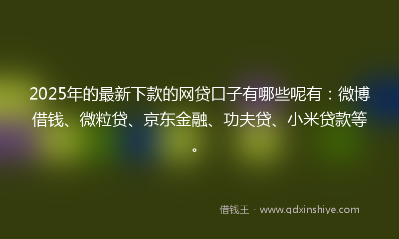 2025年的最新下款的网贷口子有哪些呢有：微博借钱、微粒贷、京东金融、功夫贷、小米贷款等。