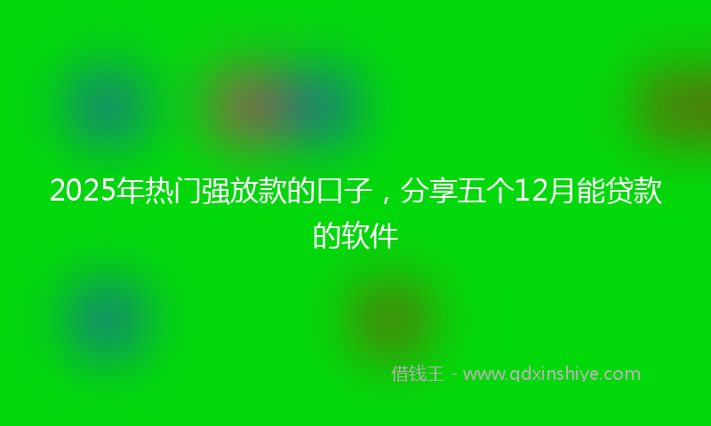 2025年热门强放款的口子，分享五个12月能贷款的软件