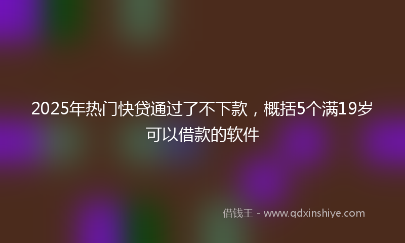 2025年热门快贷通过了不下款，概括5个满19岁可以借款的软件