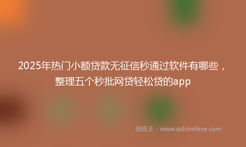 2025年热门小额贷款无征信秒通过软件有哪些，整理五个秒批网贷轻松贷的app