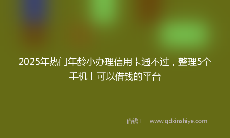 2025年热门年龄小办理信用卡通不过，整理5个手机上可以借钱的平台
