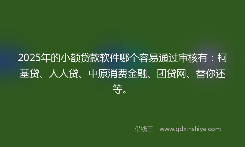 2025年的小额贷款软件哪个容易通过审核有：柯基贷、人人贷、中原消费金融、团贷网、替你还等。