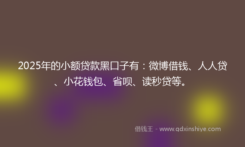2025年的小额贷款黑口子有：微博借钱、人人贷、小花钱包、省呗、读秒贷等。