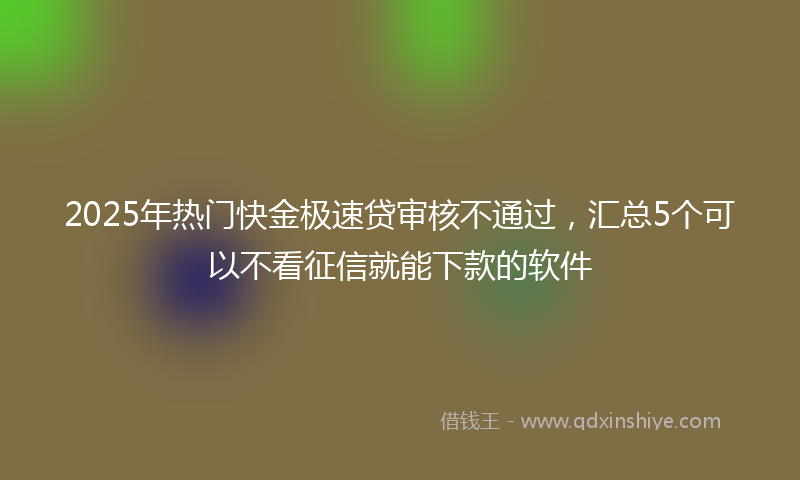 2025年热门快金极速贷审核不通过，汇总5个可以不看征信就能下款的软件
