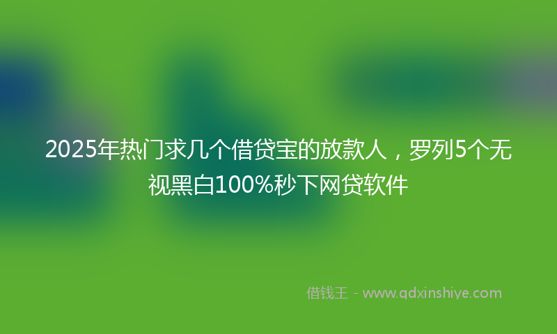 2025年热门求几个借贷宝的放款人，罗列5个无视黑白100%秒下网贷软件