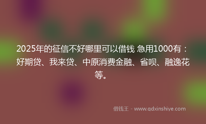 2025年的征信不好哪里可以借钱 急用1000有：好期贷、我来贷、中原消费金融、省呗、融逸花等。