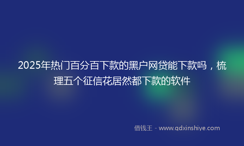 2025年热门百分百下款的黑户网贷能下款吗，梳理五个征信花居然都下款的软件