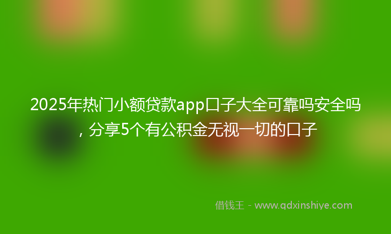 2025年热门小额贷款app口子大全可靠吗安全吗，分享5个有公积金无视一切的口子