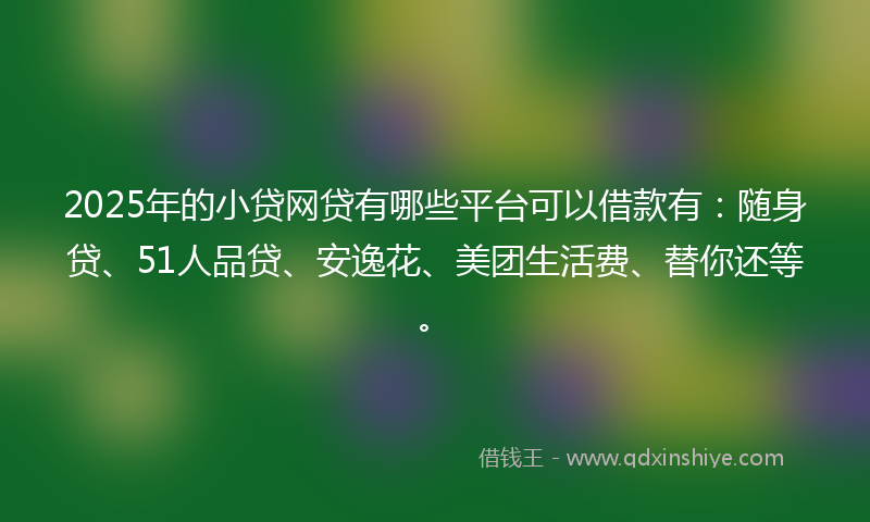 2025年的小贷网贷有哪些平台可以借款有：随身贷、51人品贷、安逸花、美团生活费、替你还等。