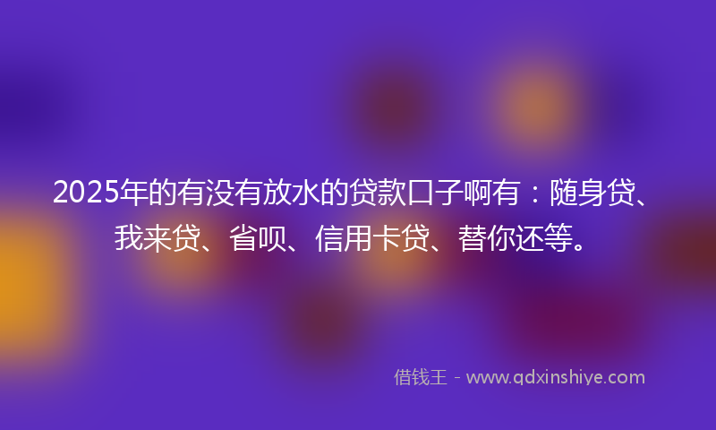 2025年的有没有放水的贷款口子啊有：随身贷、我来贷、省呗、信用卡贷、替你还等。