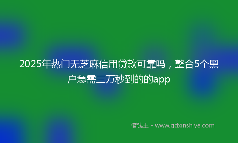 2025年热门无芝麻信用贷款可靠吗，整合5个黑户急需三万秒到的的app