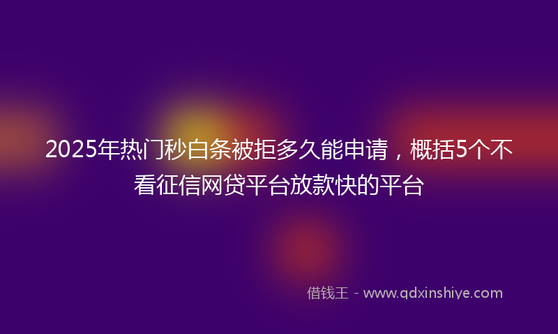 2025年热门秒白条被拒多久能申请，概括5个不看征信网贷平台放款快的平台