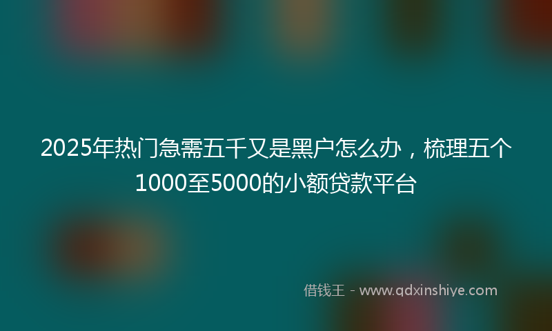 2025年热门急需五千又是黑户怎么办，梳理五个1000至5000的小额贷款平台