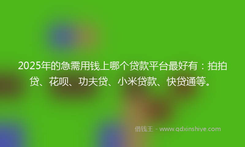 2025年的急需用钱上哪个贷款平台最好有：拍拍贷、花呗、功夫贷、小米贷款、快贷通等。
