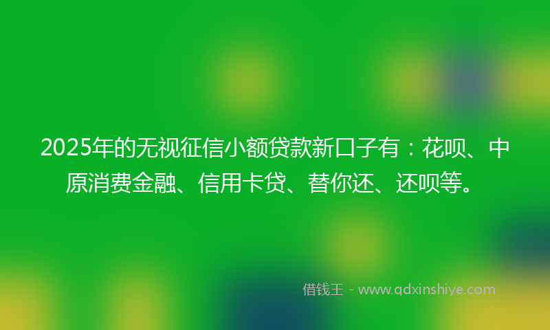 2025年的无视征信小额贷款新口子有：花呗、中原消费金融、信用卡贷、替你还、还呗等。