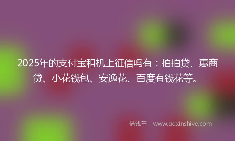 2025年的支付宝租机上征信吗有：拍拍贷、惠商贷、小花钱包、安逸花、百度有钱花等。