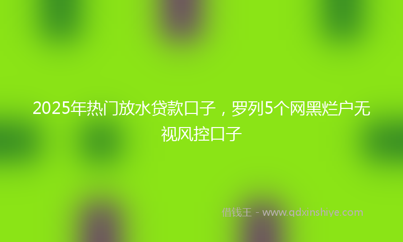 2025年热门放水贷款口子，罗列5个网黑烂户无视风控口子