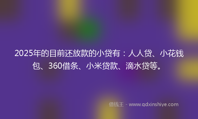 2025年的目前还放款的小贷有：人人贷、小花钱包、360借条、小米贷款、滴水贷等。