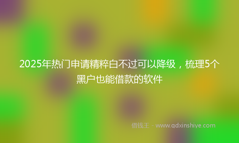 2025年热门申请精粹白不过可以降级，梳理5个黑户也能借款的软件