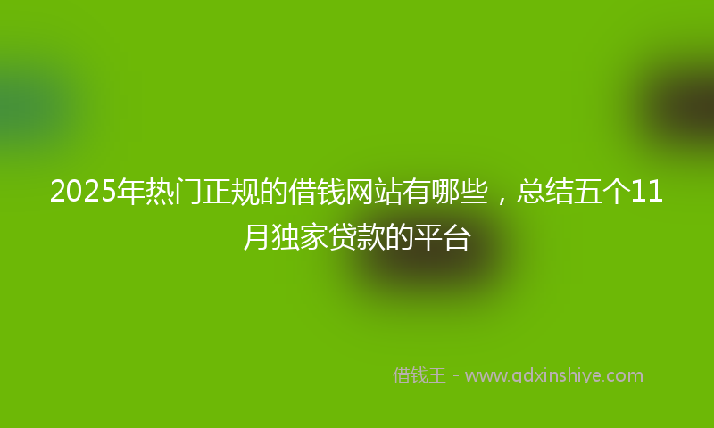 2025年热门正规的借钱网站有哪些，总结五个11月独家贷款的平台