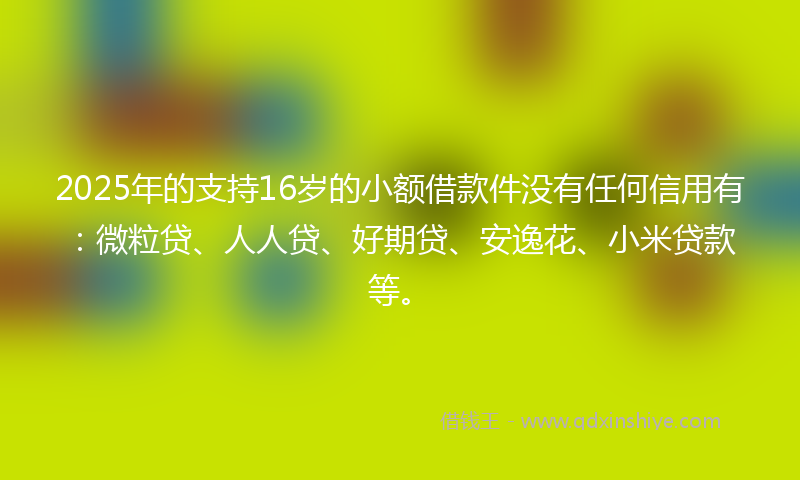 2025年的支持16岁的小额借款件没有任何信用有：微粒贷、人人贷、好期贷、安逸花、小米贷款等。