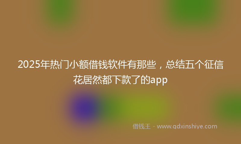 2025年热门小额借钱软件有那些，总结五个征信花居然都下款了的app