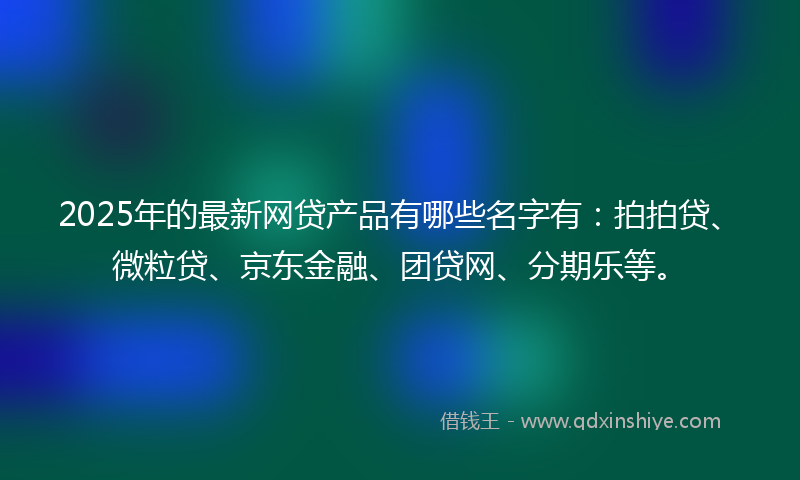 2025年的最新网贷产品有哪些名字有：拍拍贷、微粒贷、京东金融、团贷网、分期乐等。