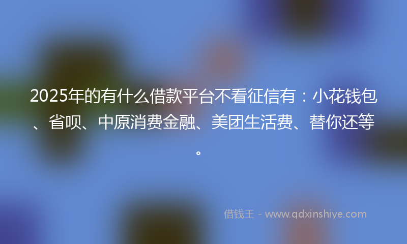 2025年的有什么借款平台不看征信有：小花钱包、省呗、中原消费金融、美团生活费、替你还等。