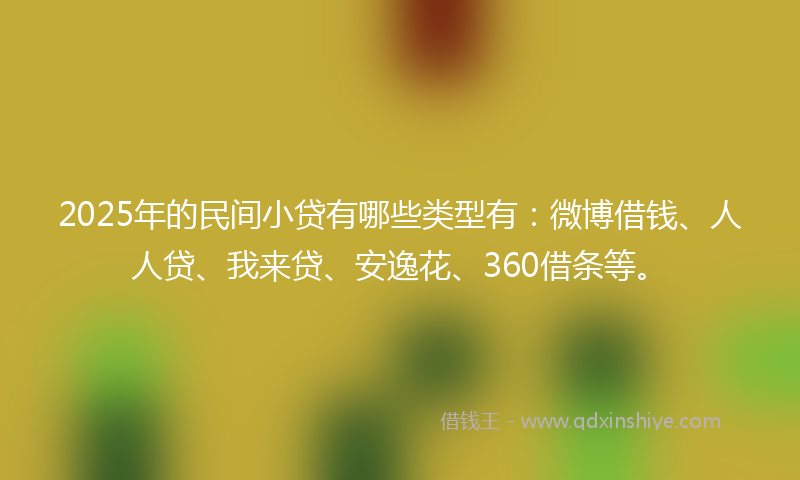 2025年的民间小贷有哪些类型有：微博借钱、人人贷、我来贷、安逸花、360借条等。