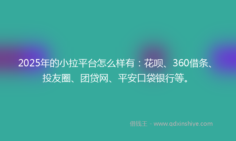2025年的小拉平台怎么样有：花呗、360借条、投友圈、团贷网、平安口袋银行等。