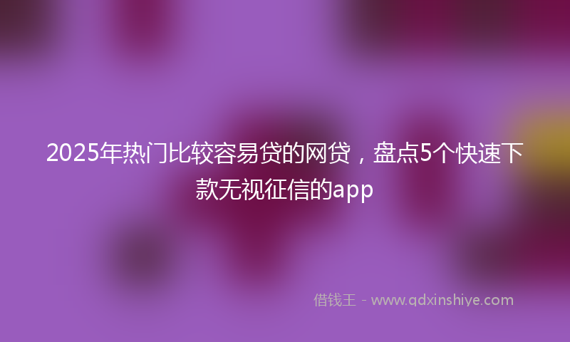 2025年热门比较容易贷的网贷，盘点5个快速下款无视征信的app