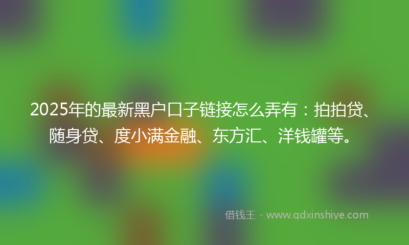 2025年的最新黑户口子链接怎么弄有：拍拍贷、随身贷、度小满金融、东方汇、洋钱罐等。