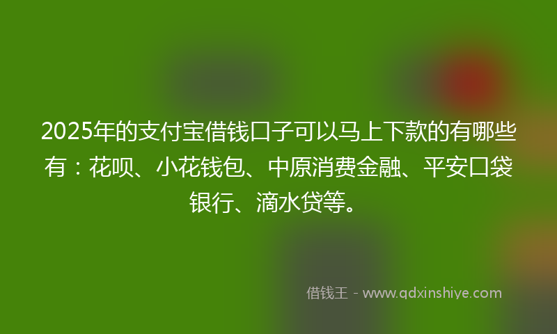 2025年的支付宝借钱口子可以马上下款的有哪些有：花呗、小花钱包、中原消费金融、平安口袋银行、滴水贷等。