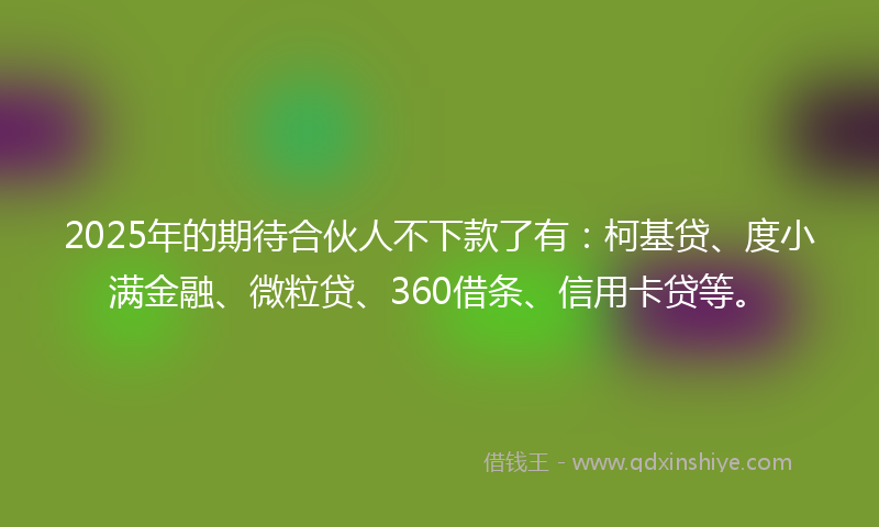 2025年的期待合伙人不下款了有：柯基贷、度小满金融、微粒贷、360借条、信用卡贷等。