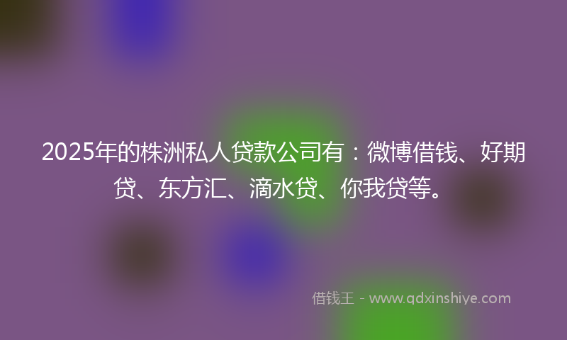 2025年的株洲私人贷款公司有：微博借钱、好期贷、东方汇、滴水贷、你我贷等。