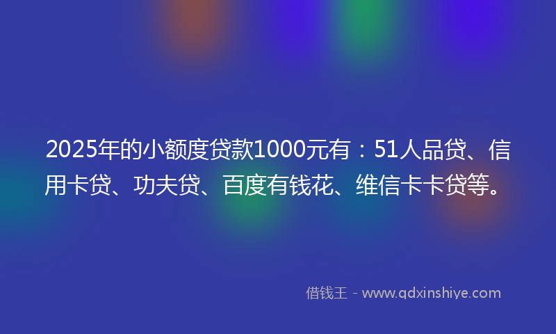 2025年的小额度贷款1000元有：51人品贷、信用卡贷、功夫贷、百度有钱花、维信卡卡贷等。