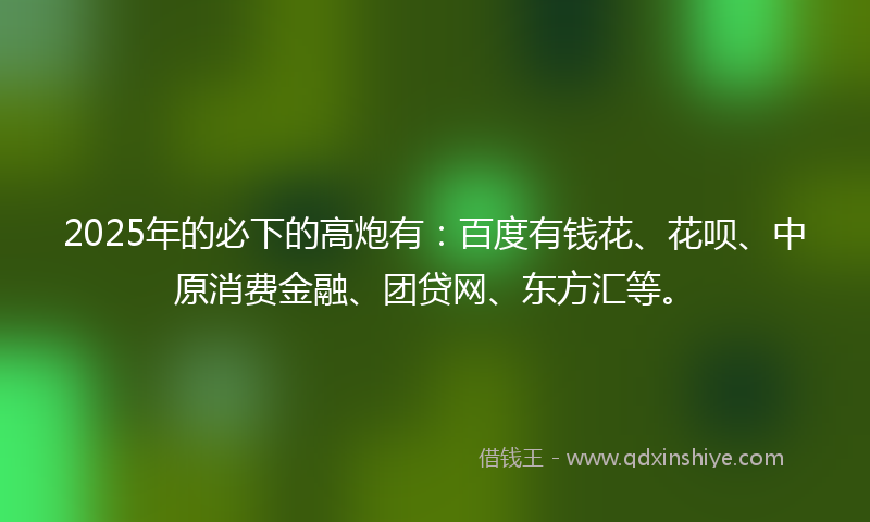 2025年的必下的高炮有：百度有钱花、花呗、中原消费金融、团贷网、东方汇等。