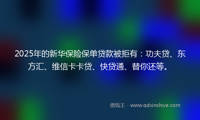 2025年的新华保险保单贷款被拒有：功夫贷、东方汇、维信卡卡贷、快贷通、替你还等。