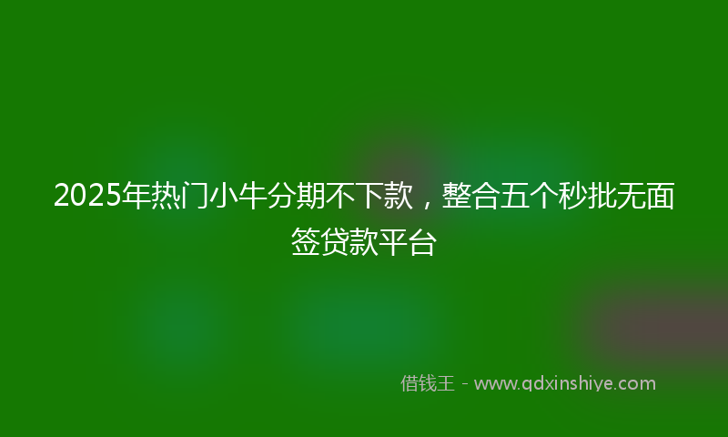 2025年热门小牛分期不下款，整合五个秒批无面签贷款平台