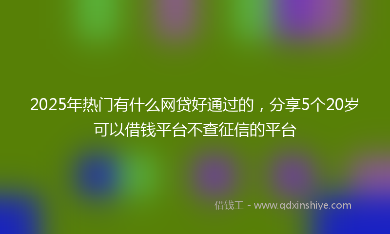2025年热门有什么网贷好通过的，分享5个20岁可以借钱平台不查征信的平台