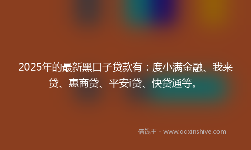 2025年的最新黑口子贷款有：度小满金融、我来贷、惠商贷、平安i贷、快贷通等。