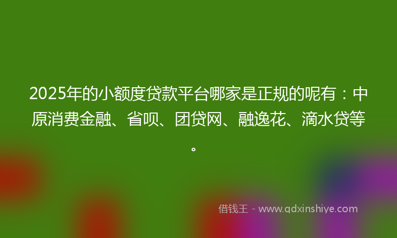 2025年的小额度贷款平台哪家是正规的呢有：中原消费金融、省呗、团贷网、融逸花、滴水贷等。