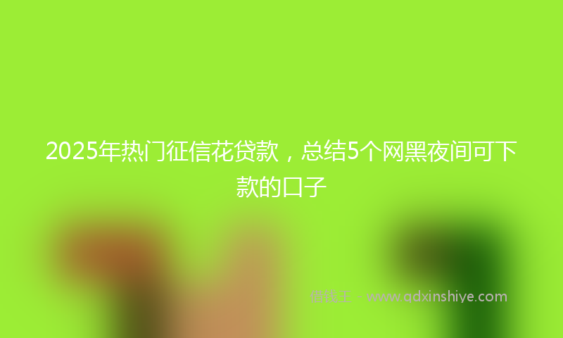 2025年热门征信花贷款，总结5个网黑夜间可下款的口子