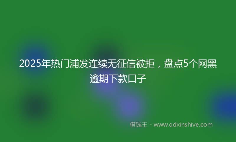 2025年热门浦发连续无征信被拒，盘点5个网黑逾期下款口子