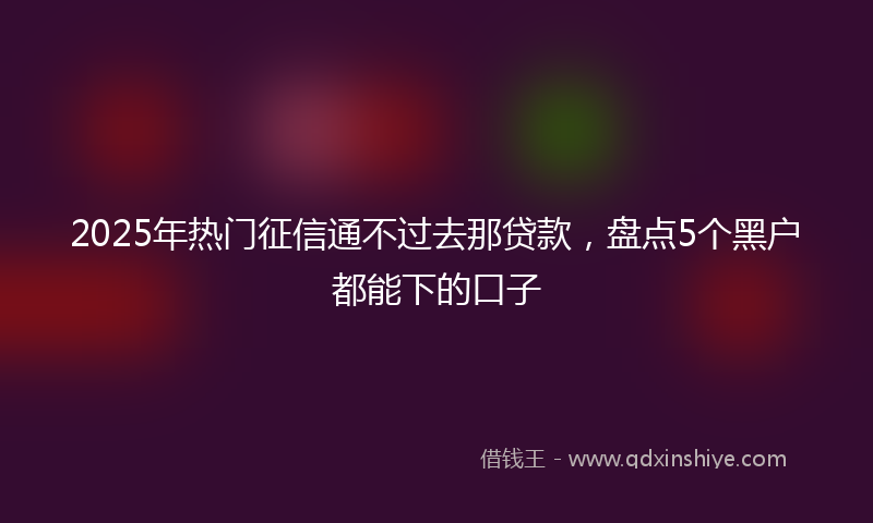 2025年热门征信通不过去那贷款，盘点5个黑户都能下的口子