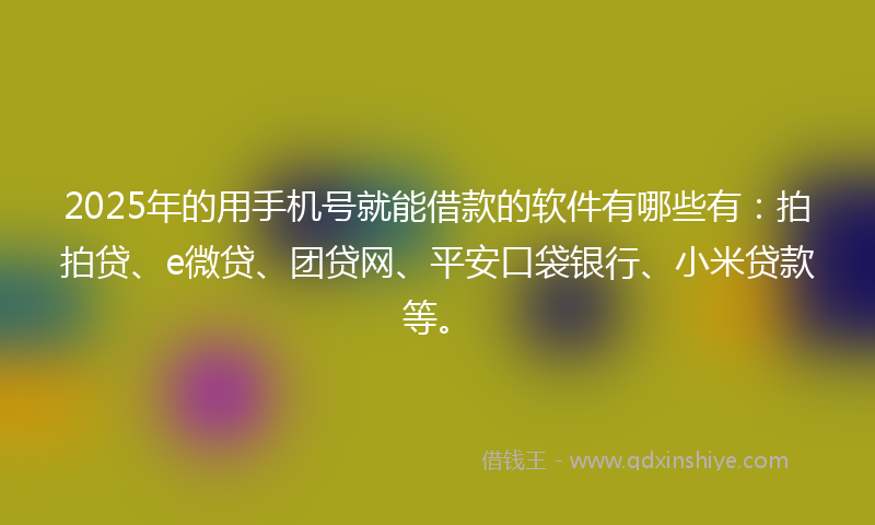 2025年的用手机号就能借款的软件有哪些有：拍拍贷、e微贷、团贷网、平安口袋银行、小米贷款等。