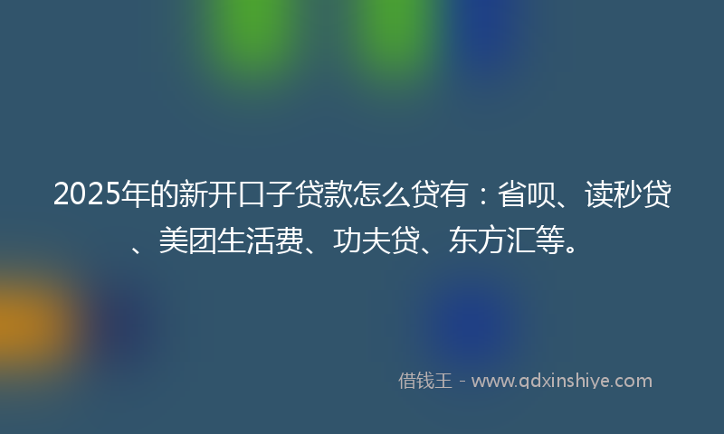2025年的新开口子贷款怎么贷有：省呗、读秒贷、美团生活费、功夫贷、东方汇等。