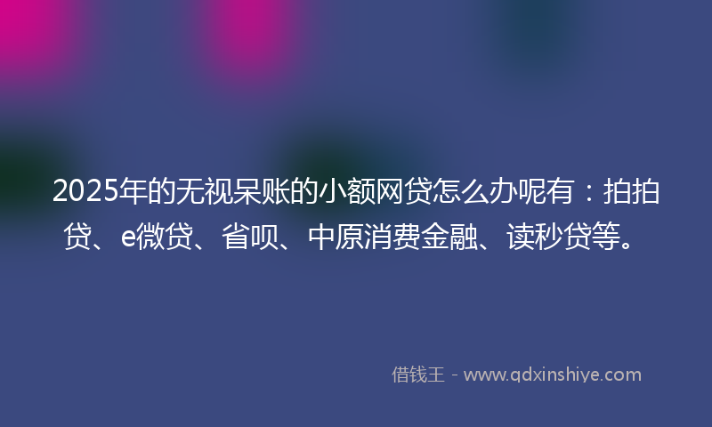 2025年的无视呆账的小额网贷怎么办呢有：拍拍贷、e微贷、省呗、中原消费金融、读秒贷等。