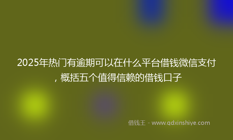 2025年热门有逾期可以在什么平台借钱微信支付，概括五个值得信赖的借钱口子