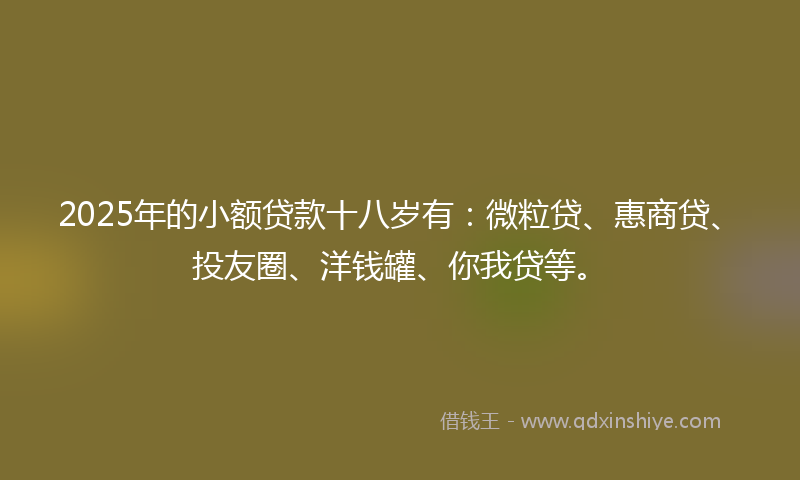 2025年的小额贷款十八岁有：微粒贷、惠商贷、投友圈、洋钱罐、你我贷等。